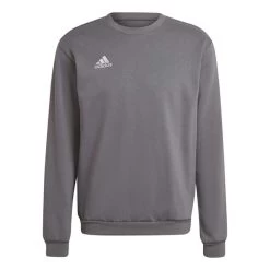 Adidas Entrada 22 Sweatshirt Grey