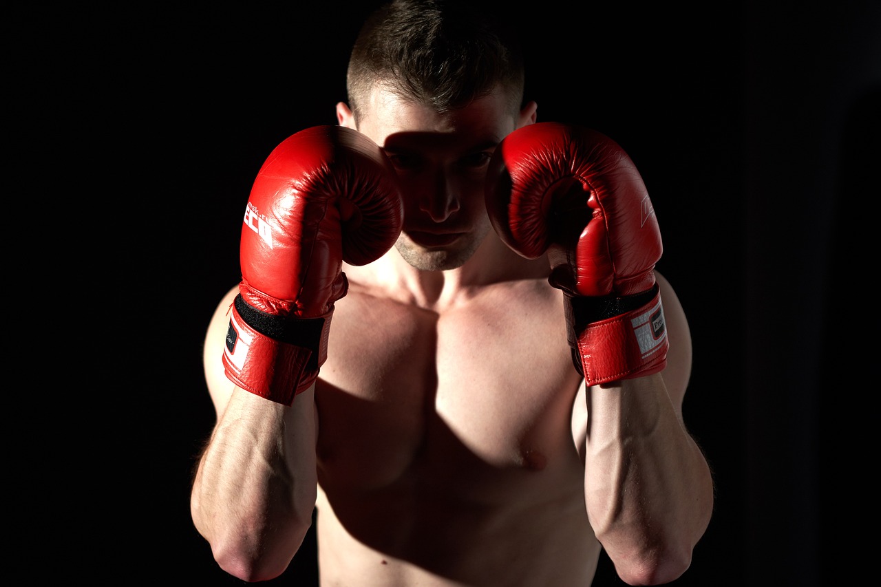 Sports Comprehensive -Sports Comprehensive boxing 4339271 1280