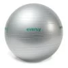 Evergy Fitness Home 55 Cm Pilates Ball Grey -Sports Comprehensive evf ev maf0102h010200n 001