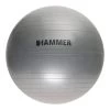 Finnlo Pilates Ball 65 Cm Grey -Sports Comprehensive fn 66407 001