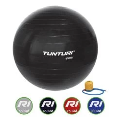 Tunturi 65 Cm Pilates Ball Black